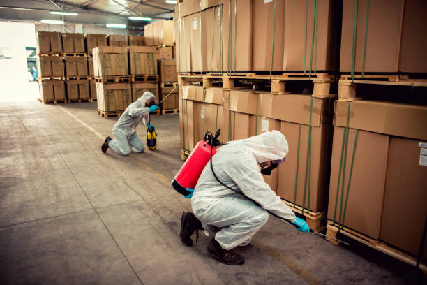 Best Affordable Pest Control Services  in Otisville, NY