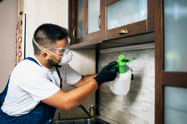 Best Wildlife Control Services  in Otisville, NY
