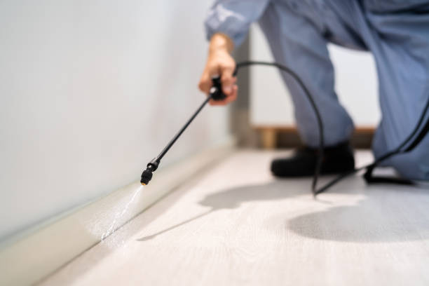 Best Pest Prevention Services  in Otisville, NY