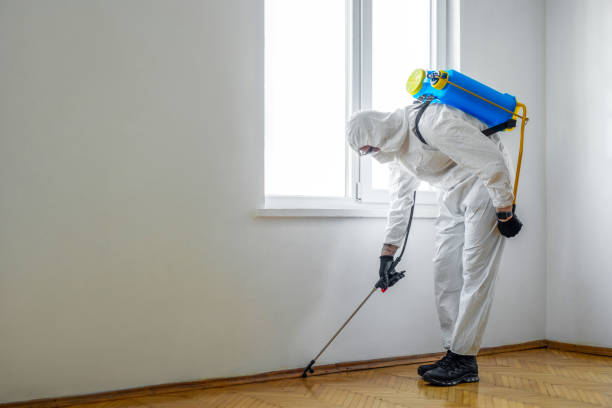 Best Pest Prevention Services  in Otisville, NY