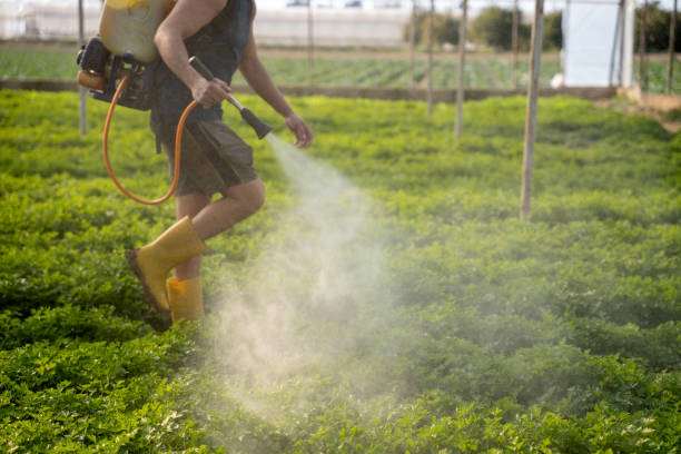 Pest Control for Restaurants in Otisville, NY