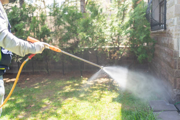 Best Pest Control for Homes  in Otisville, NY