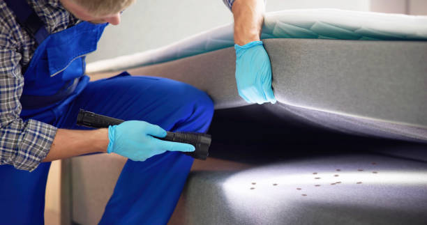 Best Ant Control Services  in Otisville, NY