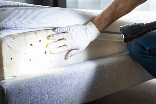 Best Commercial Pest Control Services  in Otisville, NY