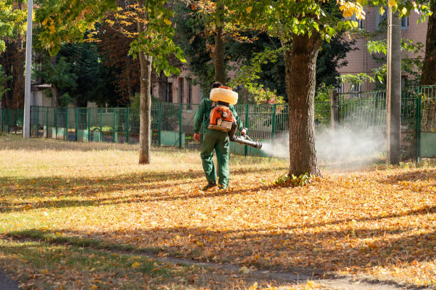 Best Emergency Pest Control  in Otisville, NY