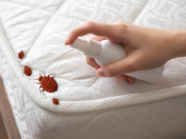 Best Cockroach Control Services  in Otisville, NY