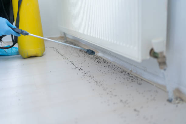 Best Pest Inspection Near Me  in Otisville, NY