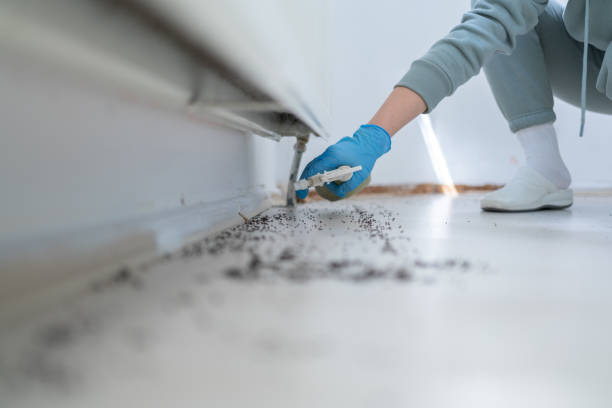 Best Exterminator Services  in Otisville, NY
