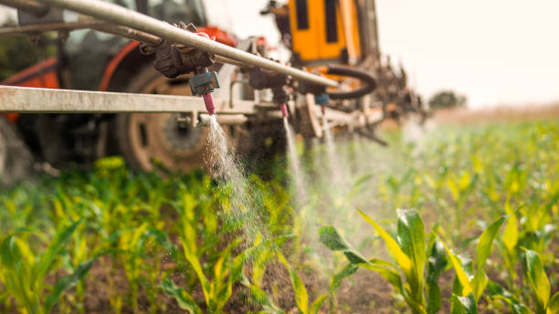 Pest Control Cost in Otisville, NY